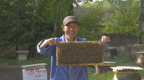 通渭 输血 造血 并举 念好东西部扶贫协作 山海经